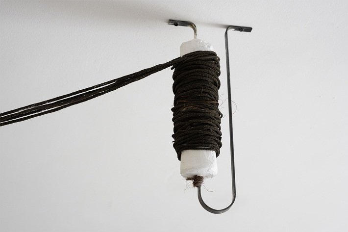 Katharina Fitz, Backbone, StudioBlockM74