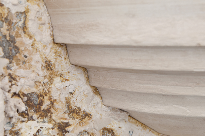 Katharina Fitz BLOOM