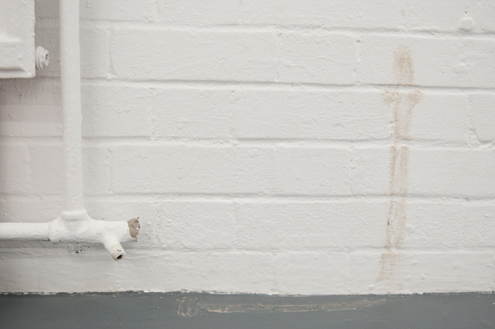 Katharina Fitz BLOOM