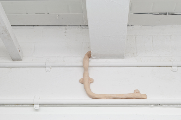 Katharina Fitz BLOOM