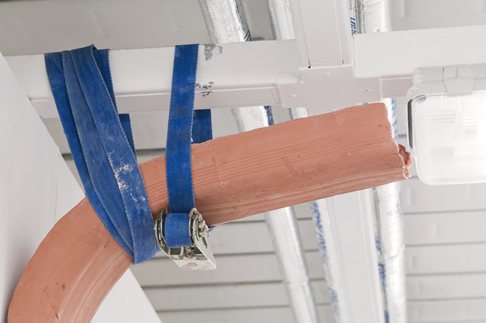 Katharina Fitz BLOOM