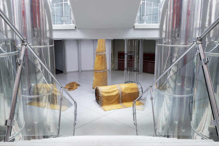 Katharina Fitz IN FLUX