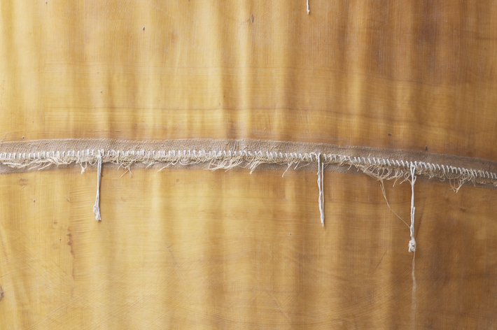 Katharina Fitz IN FLUX